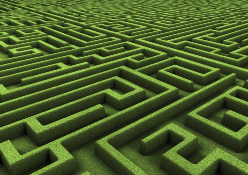 Betriebsausflug ins Maislabyrinth