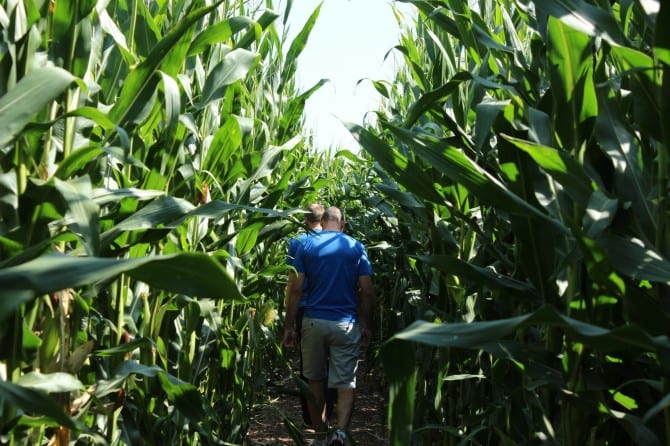 teambuilding-team-labyrinth